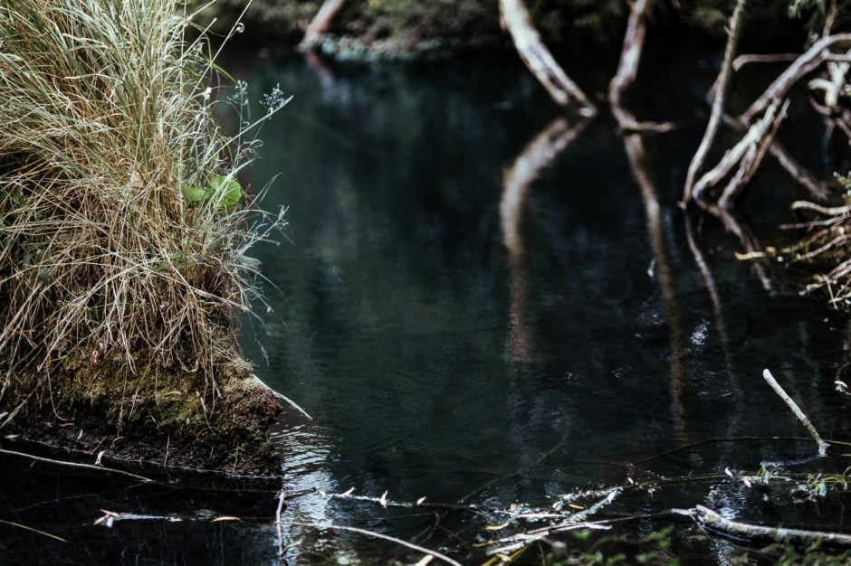 An area of shallow water in a creek.